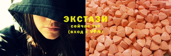 стаф Елизово