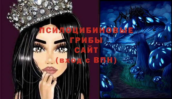 шишки Абинск