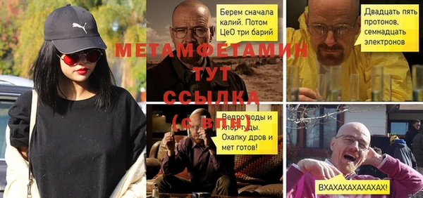 шишки Горно-Алтайск